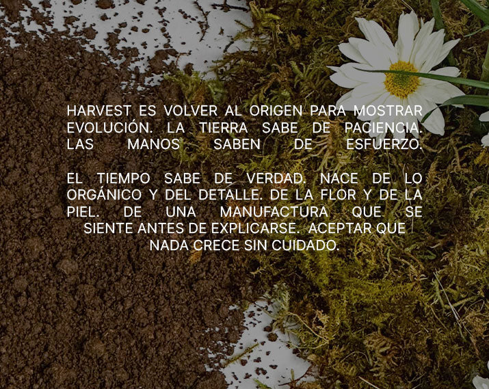 BANNER-HARVEST-VP2-MOVIL.jpg