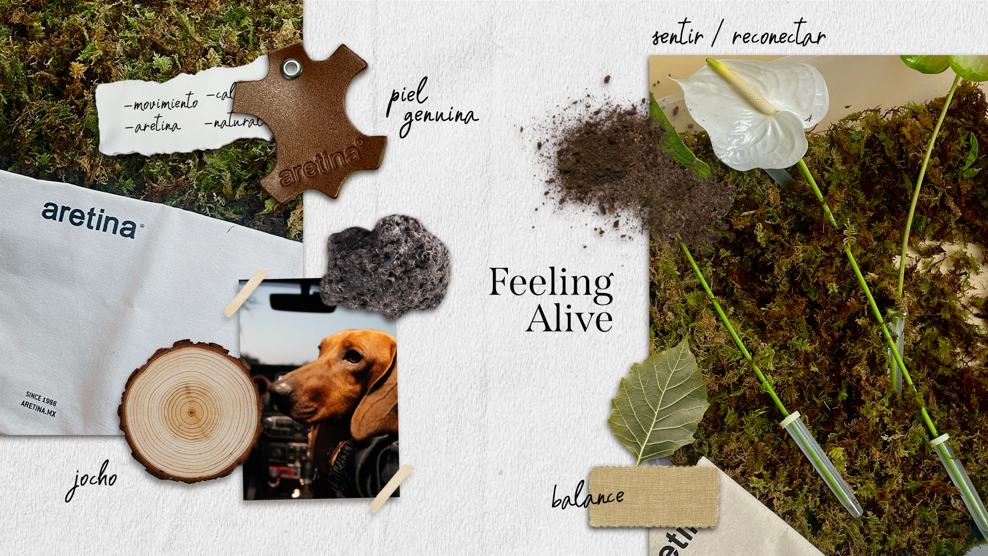 Feeling_Alive_Banner_46a97bc3-2106-474c-96f6-acca54d08411.png